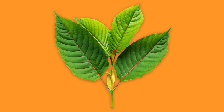 Natural Power of Kratom